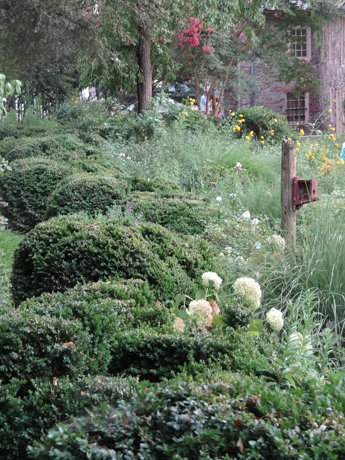 the eighteenth-century Old Stone House and garden just off M Street