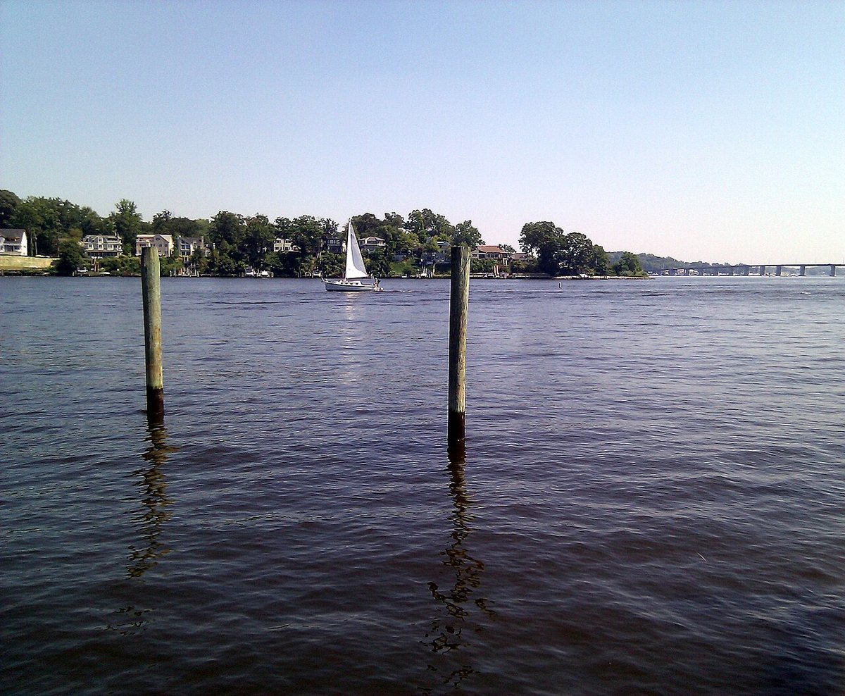 Sailboats and waterfront buildings at City Dock in Annapolis Maryland