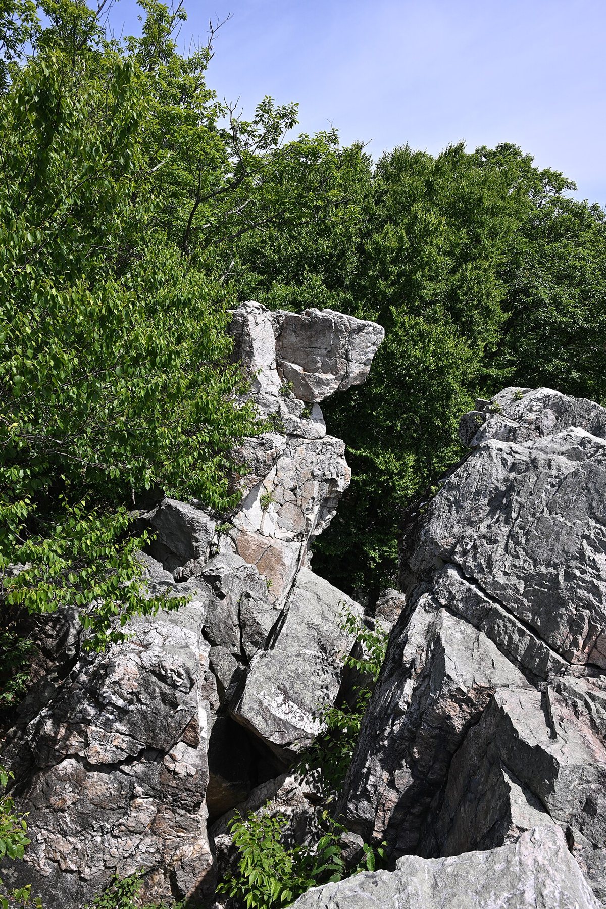 Forested ridge trail in Catoctin Mountain Park Maryland