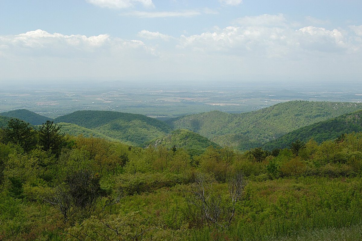 Mountain overlook along Skyline Drive in Shenandoah National Park