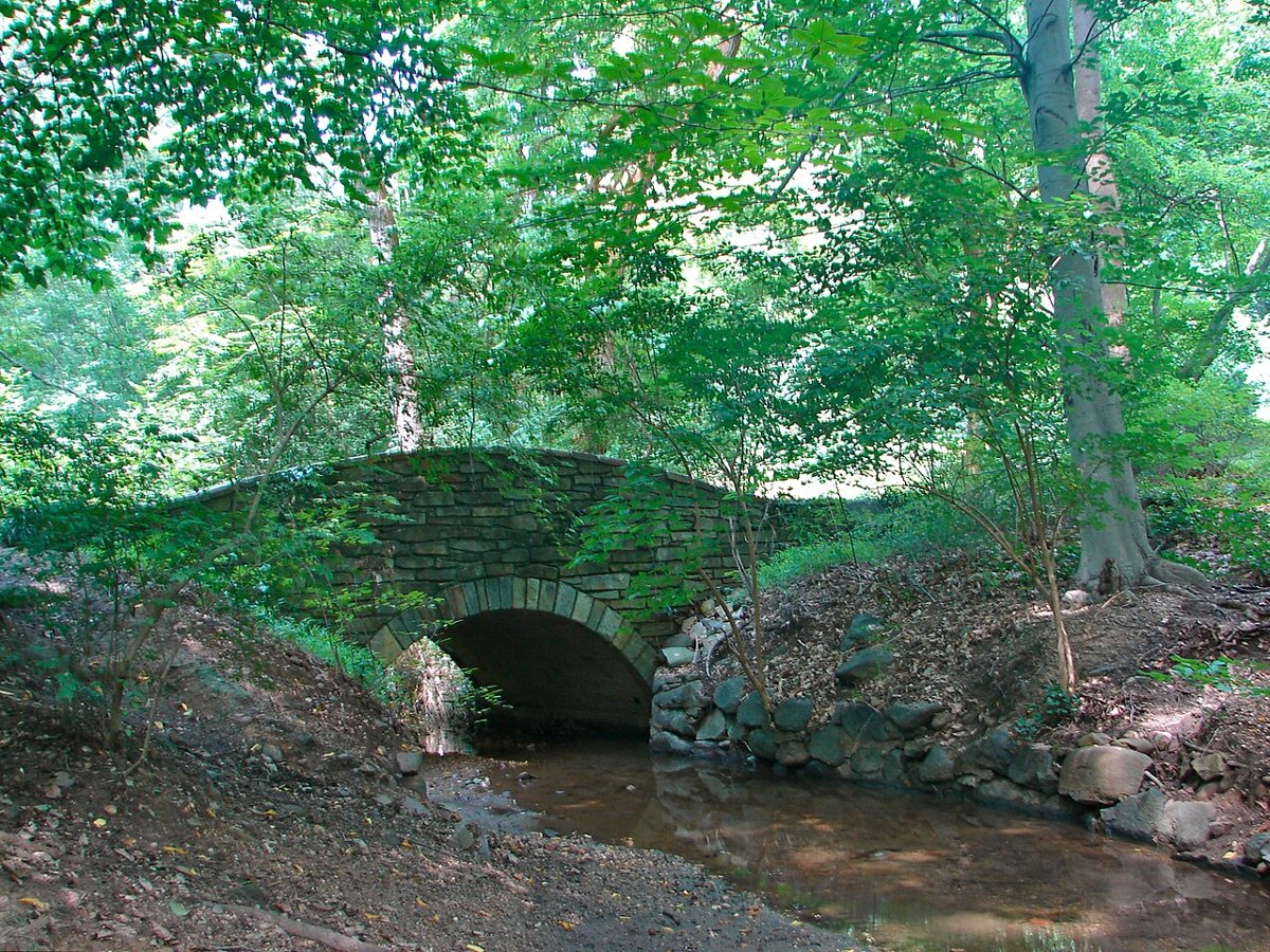 Wooded stream valley trail in Dumbarton Oaks Park in Washington DC