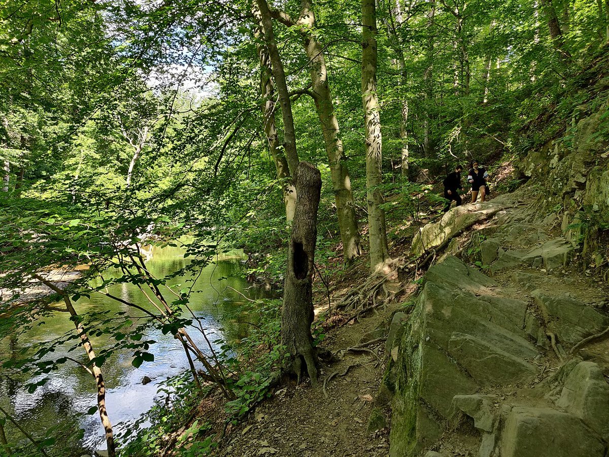 A wooded trail through Rock Creek Park in Washington DC