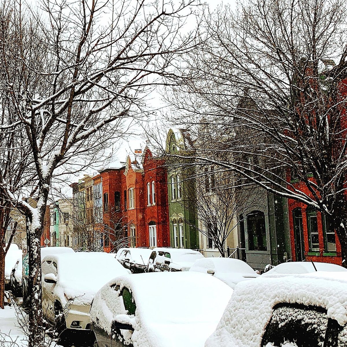 the U Street Corridor with outdoor cafes and pedestrians in spring