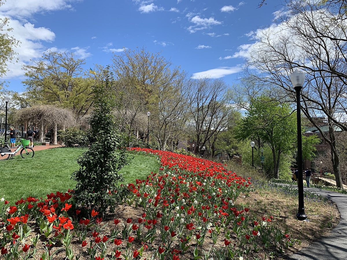 the small riverside park and stone pergola near Key Bridge in Georgetown